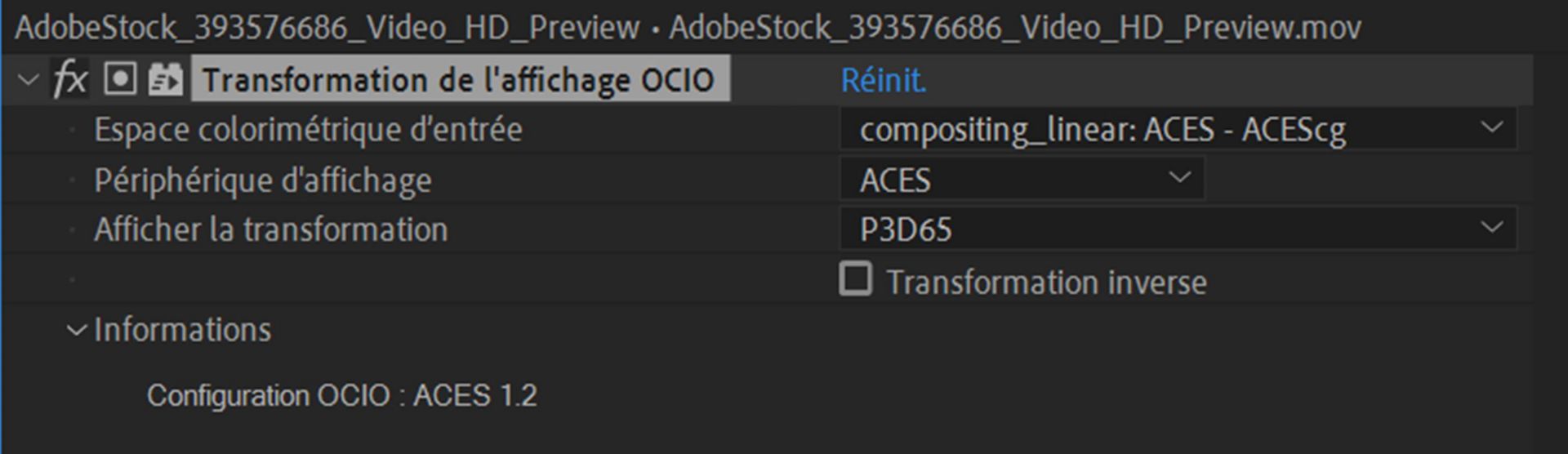 Effet Transformation de l’affichage OCIO