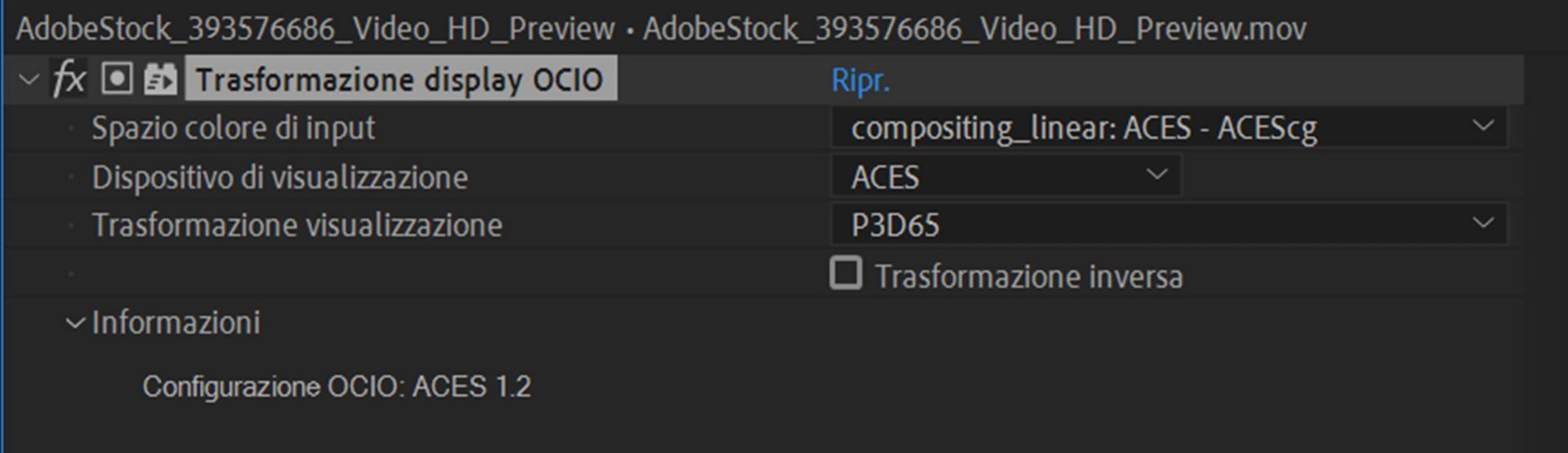 Effetto Trasformazione display OCIO