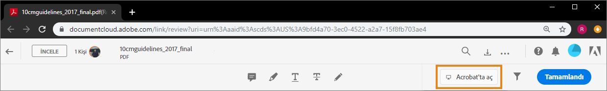 Masaüstü uygulamasında inceleme