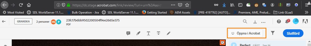 Granskning i datorprogrammet