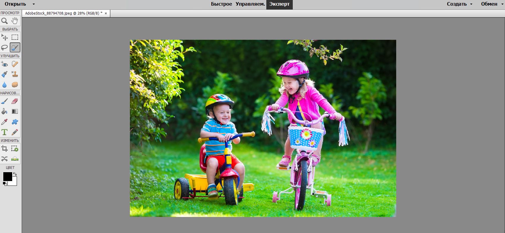 Выделение фрагментов в Photoshop Elements