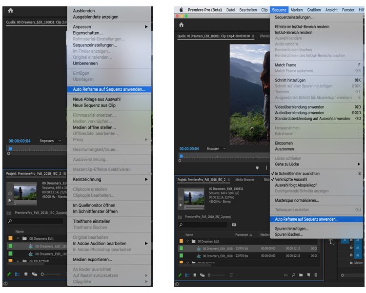 Optionen für das Anwenden von Auto Reframe auf eine Sequenz