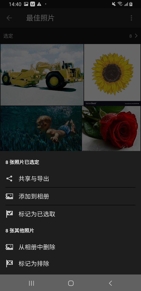 “最佳照片”菜单选项