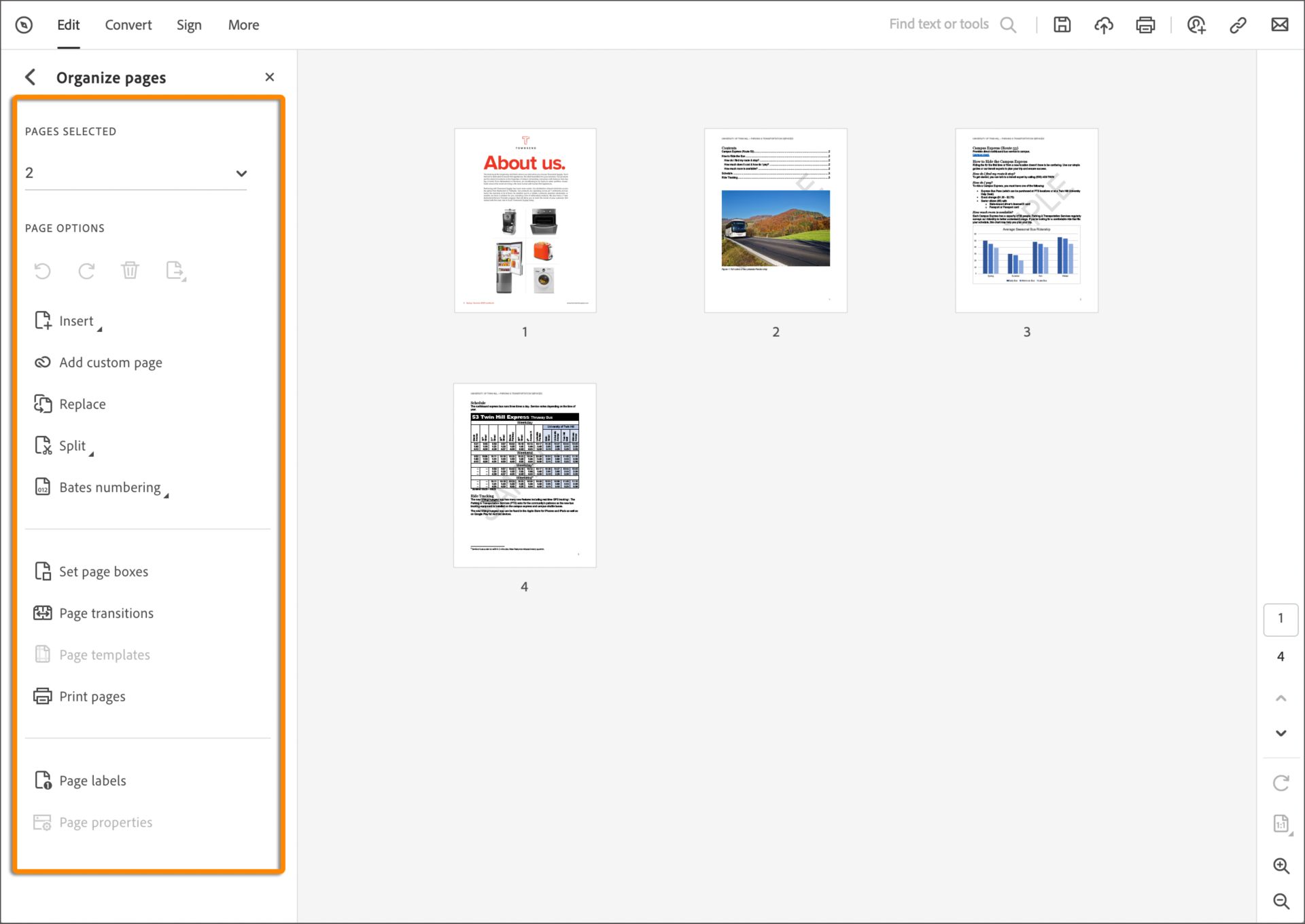 تنظيم الصفحات