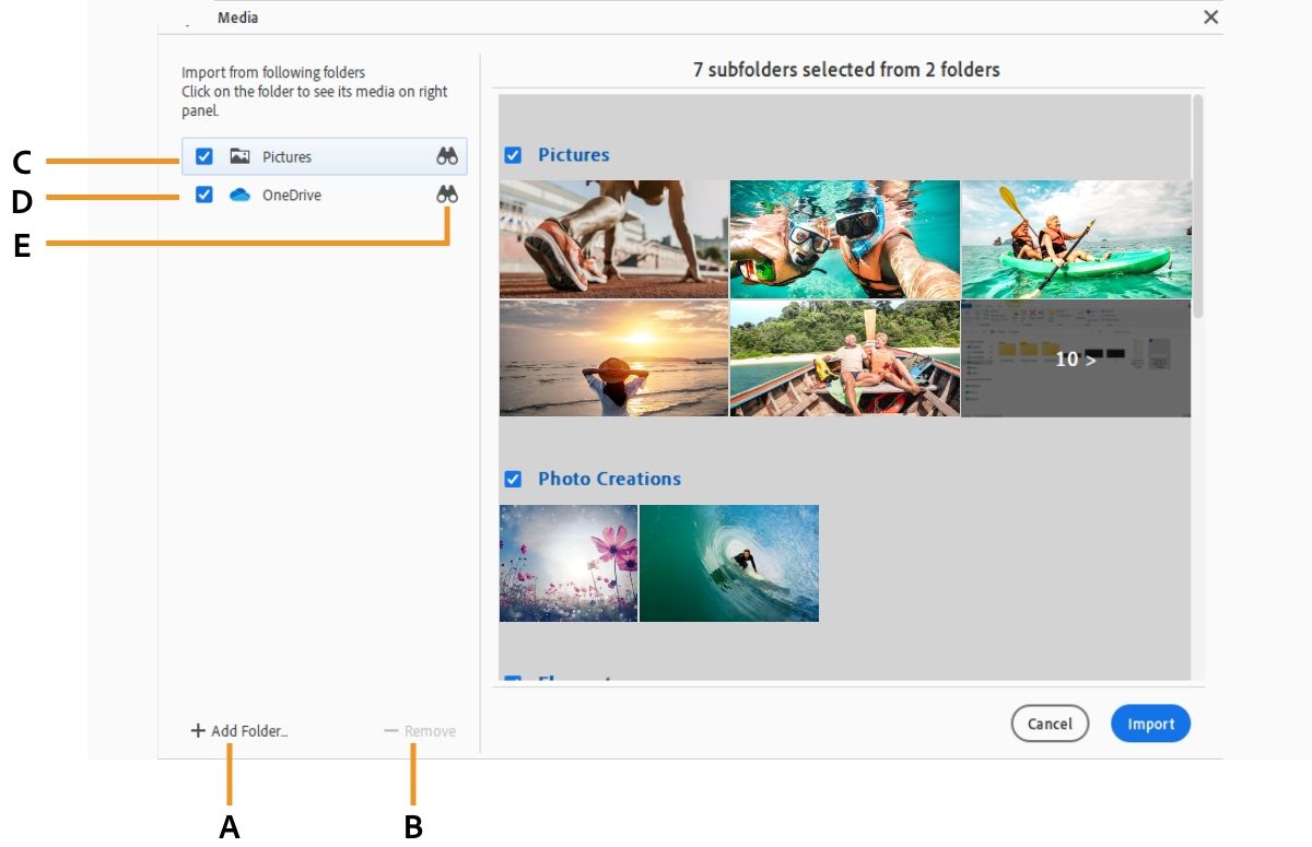 Import media dialog box in Elements Organizer.