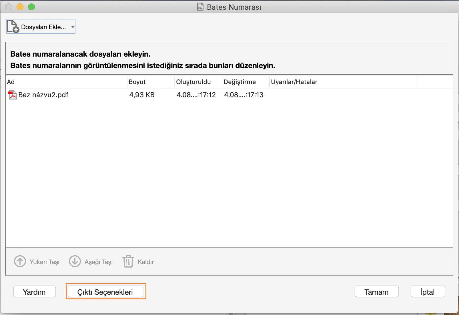 Çıktı seçenekleri