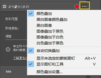 从一系列蒙版叠加预设选项中进行选择