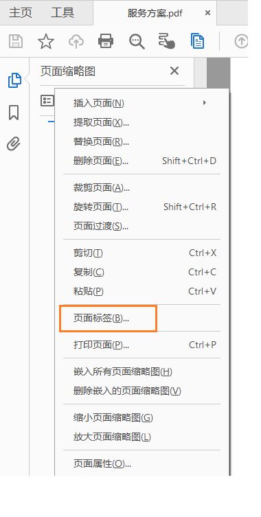 选择“页面标签”
