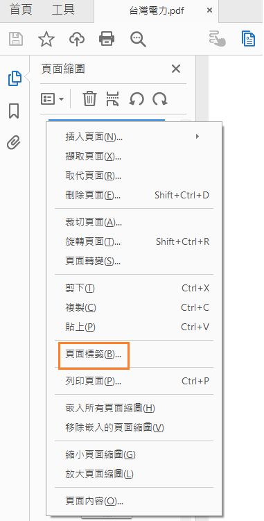 選擇「頁面標籤」