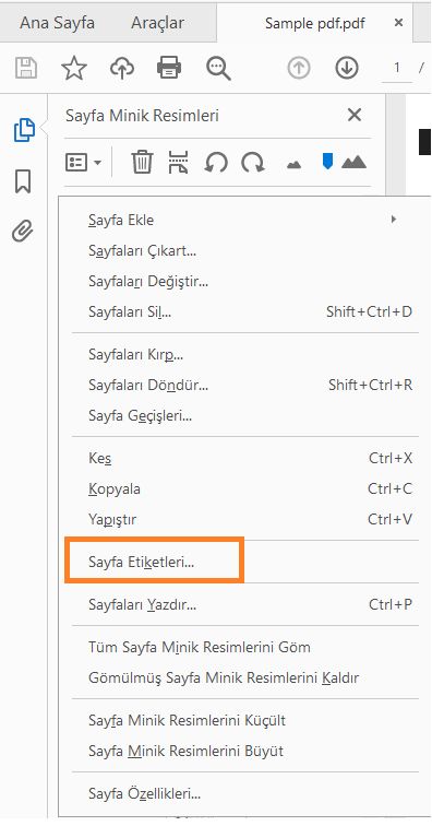 Sayfa Etiketleri'ni seçin