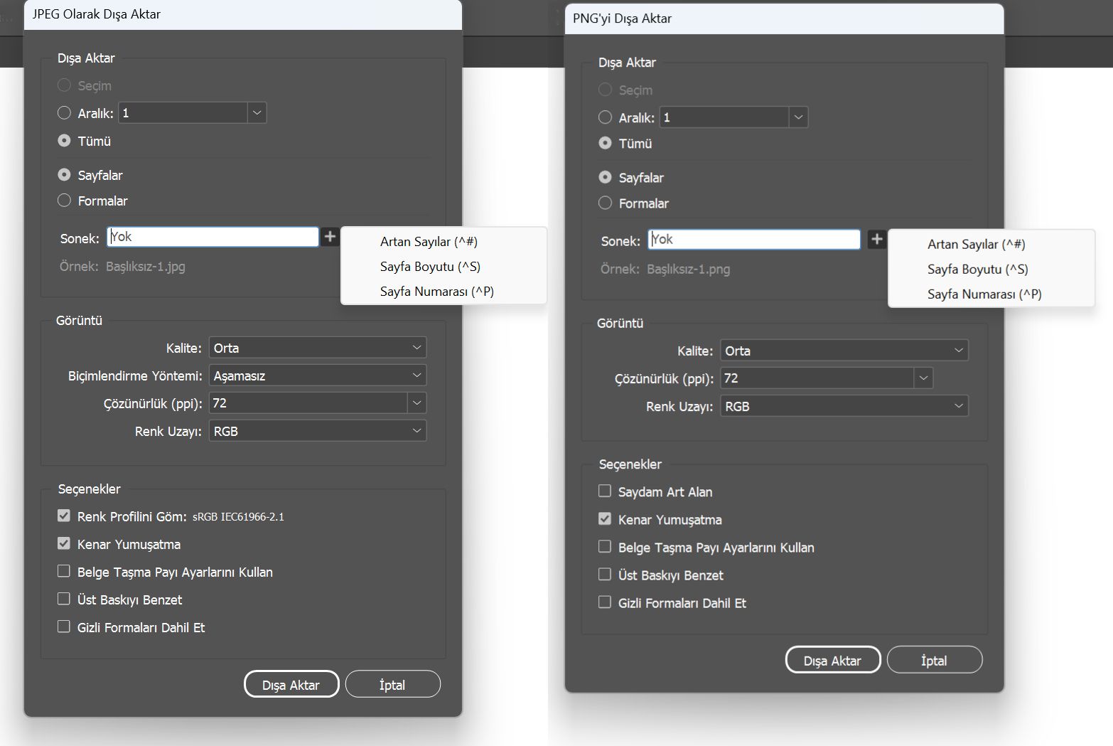 JPEG veya PNG formatında dışa aktarmayı seçtiğinizde beliren, çeşitli seçenekleri gösteren iki ekran