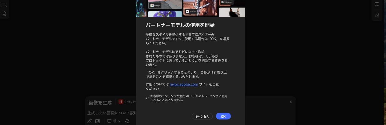 パートナーモデルの使用開始画面が表示され、続行またはキャンセルを選択できます。