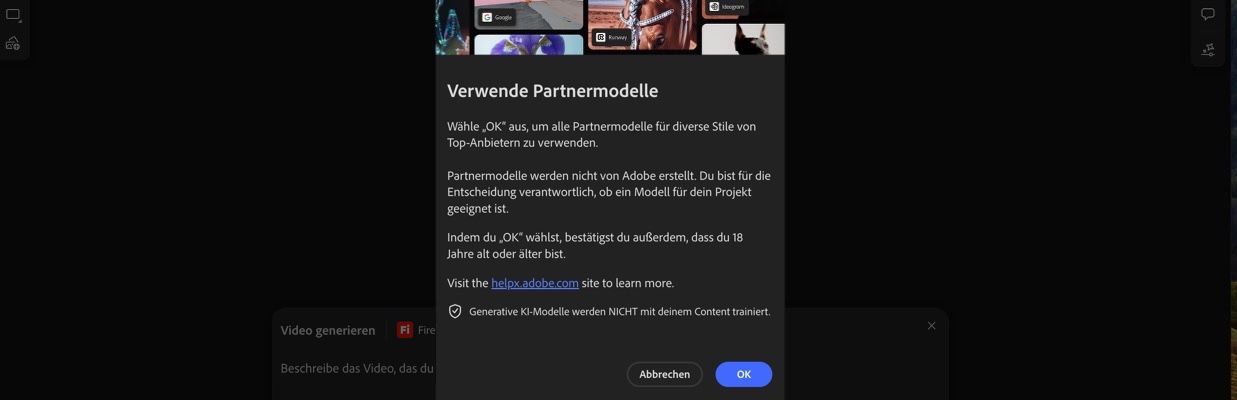 Die Einführung der Partnermodelle ist offen. Du hast die Möglichkeit, fortzufahren oder abzubrechen.