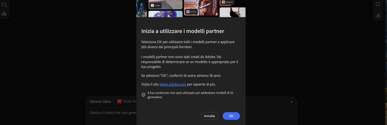L'avvio dell'utilizzo dei modelli partner è aperto e hai l'opzione di continuare o annullare.