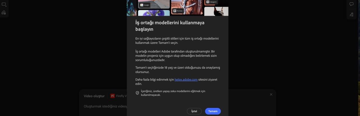 İş ortağı modellerini kullanmaya başlama bölümü açık ve devam etme veya iptal etme seçeneği görüntüleniyor.