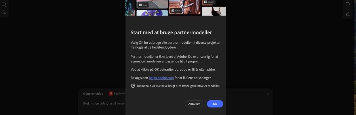 Start med at bruge partnermodellerne er åben, og du har mulighed for at fortsætte eller annullere.