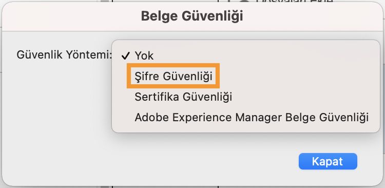 Parola Güvenliği&#39;ni seçin