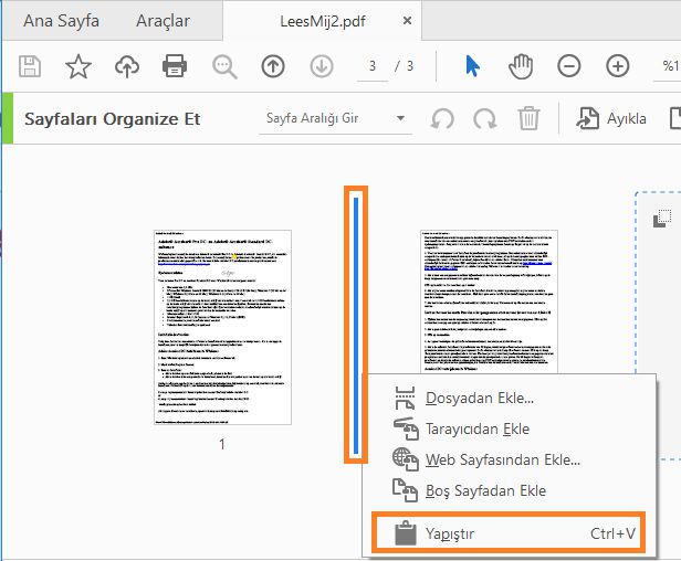 Konumu belirleyin ve Yapıştır'ı seçin