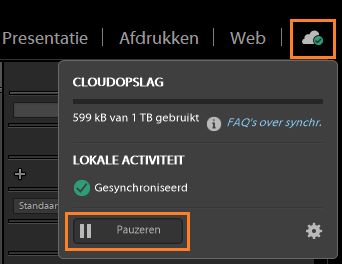Synchroniseren pauzeren