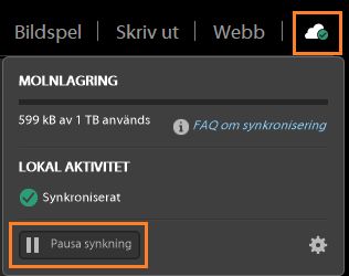 Pausa synkronisering