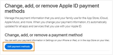 ApplePayment