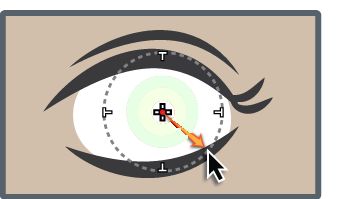Correction de l’effet yeux d’animaux Lightroom