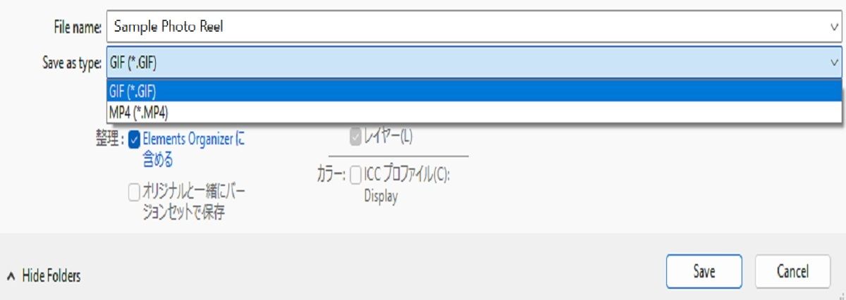 写真リールを MP4／GIF 形式で書き出して、簡単に共有できます。