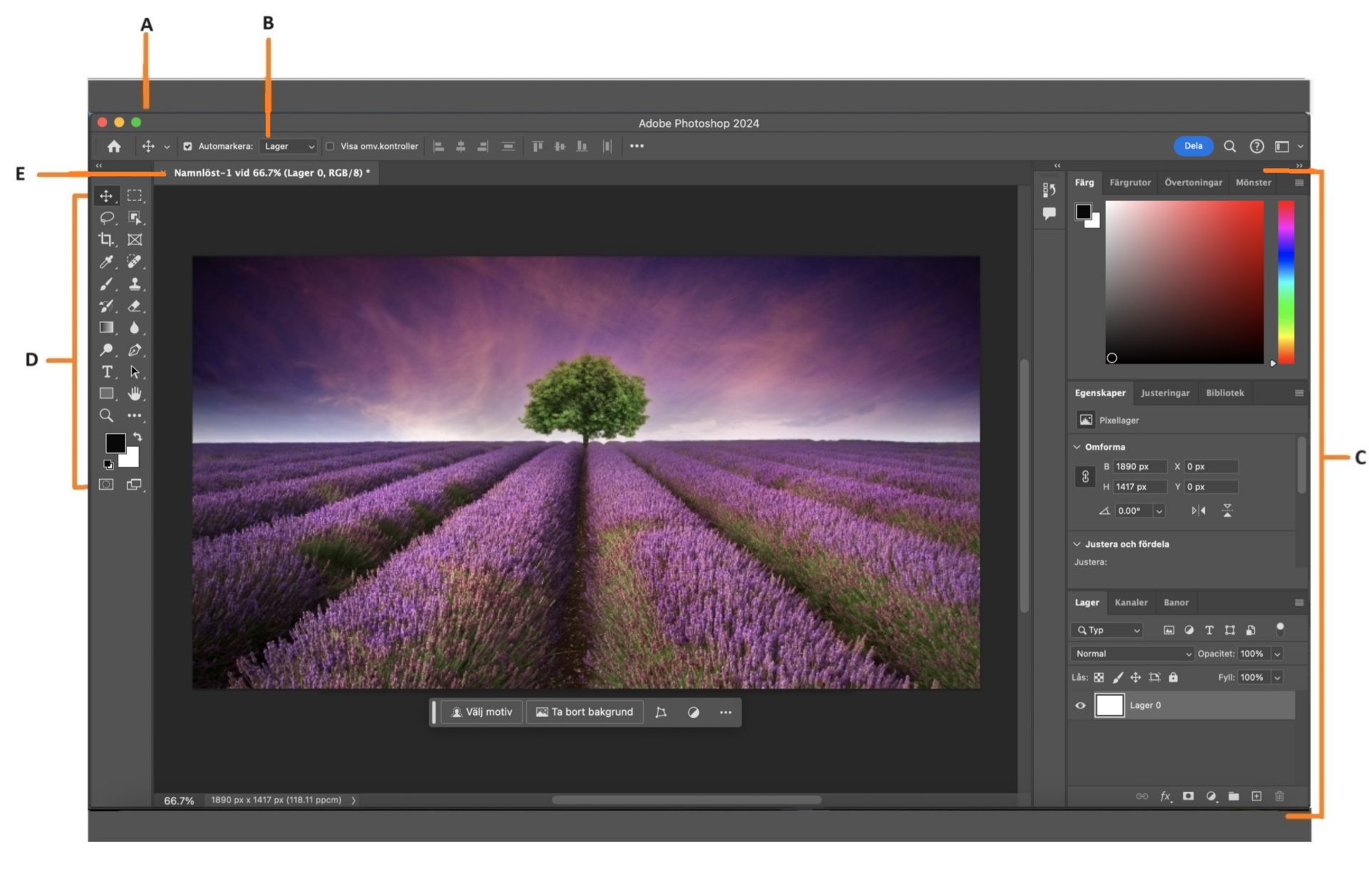 Översikt över arbetsytan i Photoshop