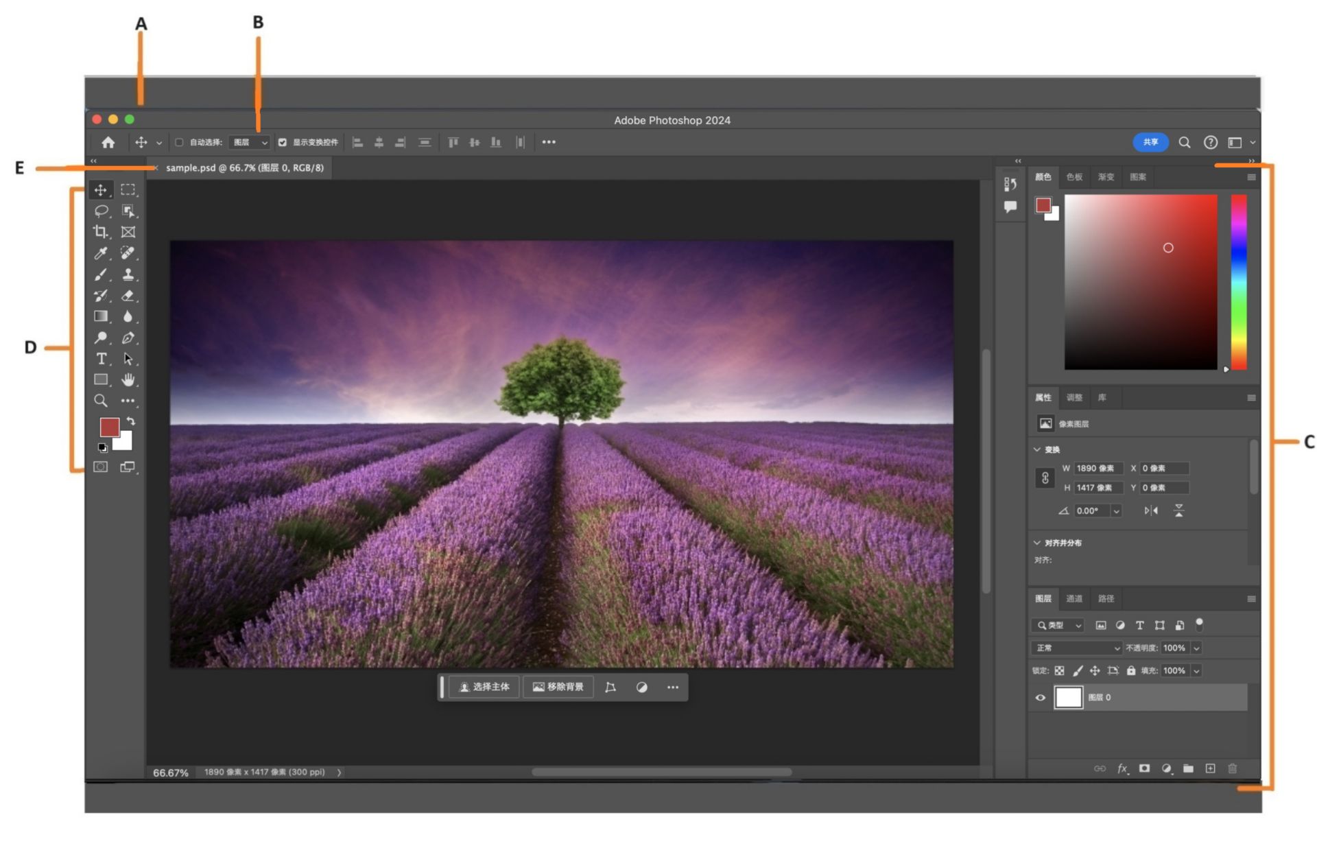 Photoshop 工作区概述