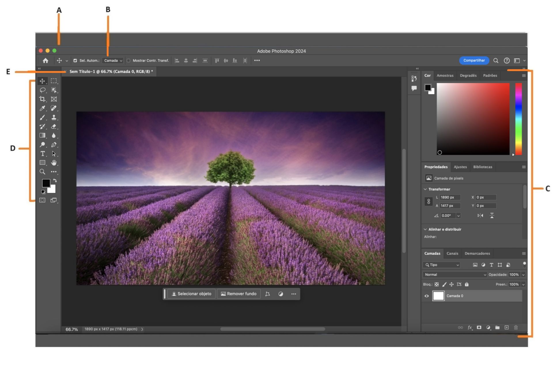 Visão geral do espaço de trabalho do Photoshop