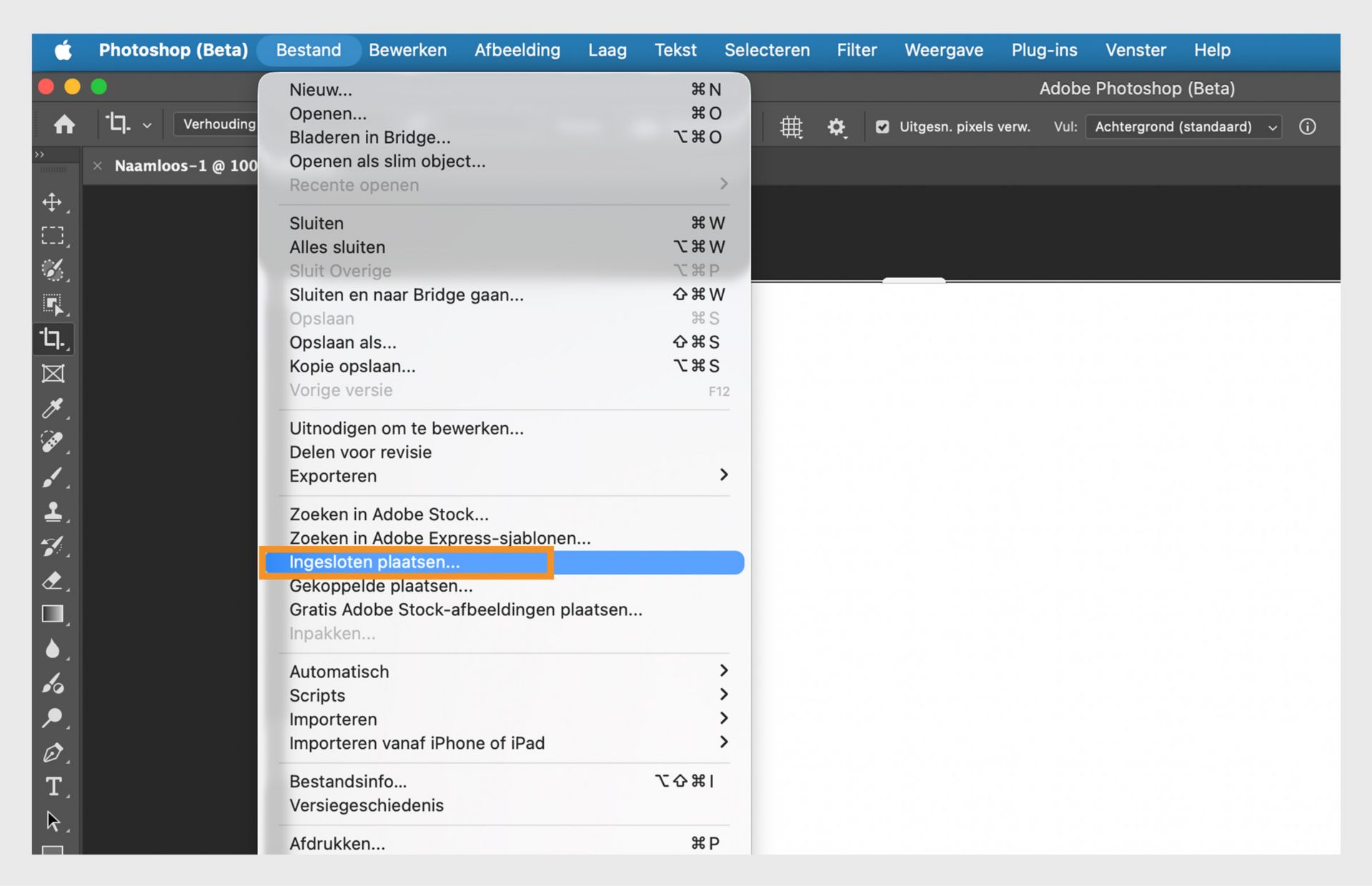 Photoshop (Beta) met de optie "Insluiten plaatsen" gemarkeerd om een bestand als een aparte laag in het document in te voegen.