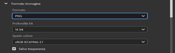 Selezionate il formato immagine PNG.
