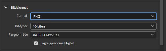 Velg PNG-bildeformat.