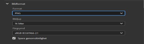 Välj bildformatet PNG.