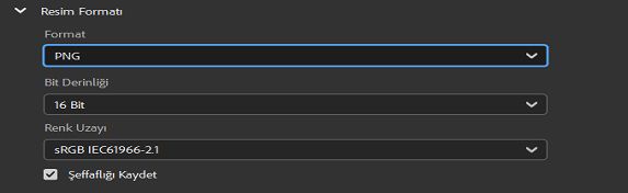PNG görüntü formatını seçin.