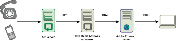 Ses akışı telefondan başlayıp sırasıyla bir sesli konferans sunucusundan (resimde gösterilmemiştir), bir SIP sunucusundan, Adobe Media Gateway'den geçerek bir Adobe Connect toplantı odasına ulaşır.