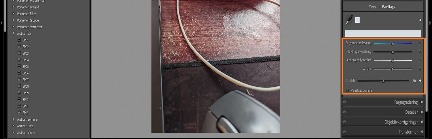 Barnebildet er på lightroom-lerretet der punktfargepanelet og glidebryteren er uthevet.