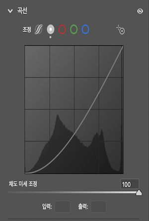 점 곡선에서 100(기본값)으로 설정된 채도 슬라이더. 