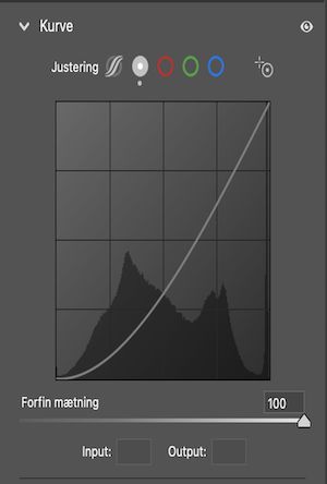 Skydeknappen Juster farvemætning er indstillet til 100 (som standard) i Punktkurve. 