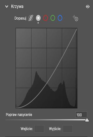 Suwak Popraw nasycenie ustawiony na 100 (domyślnie) w opcji Krzywa punktowa. 