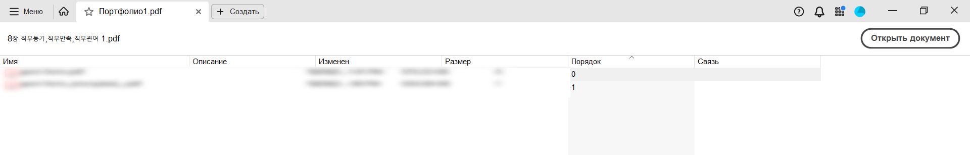 Портфолио PDF