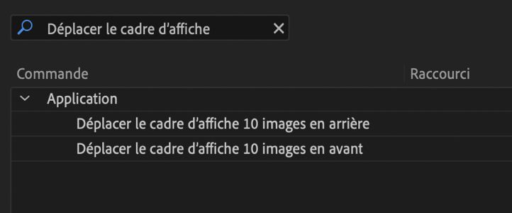 Raccourcis clavier pour le déplacement de lʼimage postérisée