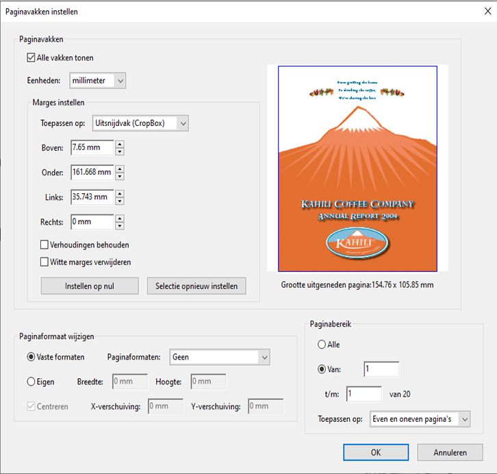 Dialoogvenster Paginavakken