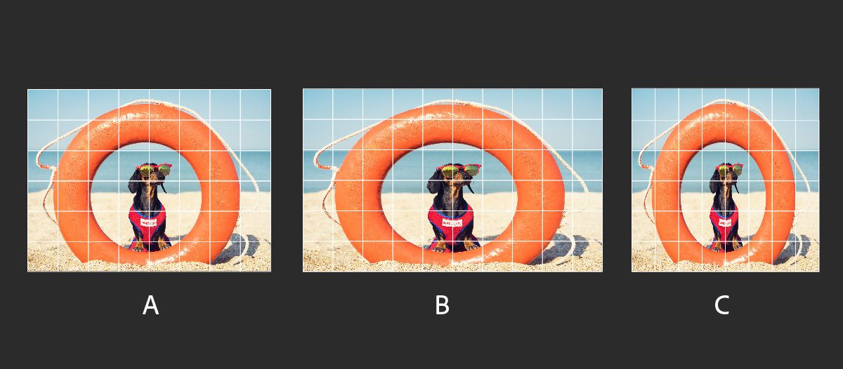 Três imagens de um cachorro sentado em uma praia dentro de uma boia salva-vidas laranja, cada uma sobreposta com uma grade.A imagem A exibe proporções corretas.A imagem B está esticada horizontalmente e a imagem C está esticada verticalmente, demonstrando os efeitos de diferentes proporções de pixel.