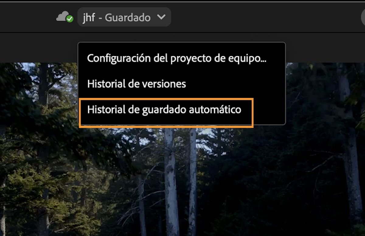 Captura de pantalla que muestra el menú con los ajustes, el historial de versiones y de guardado automático de los proyectos de equipo al que se puede acceder desde la barra de encabezado de Premiere Pro.