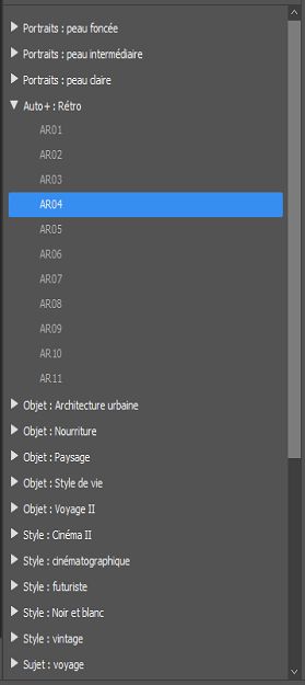 Nouveaux paramètres prédéfinis Premium dans le panneau Paramètres prédéfinis