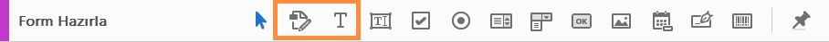 Form Hazırlama araç çubuğundaki Düzenle ve Metin Ekle aracı