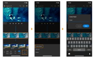 פרטי קביעות מוגדרות מראש