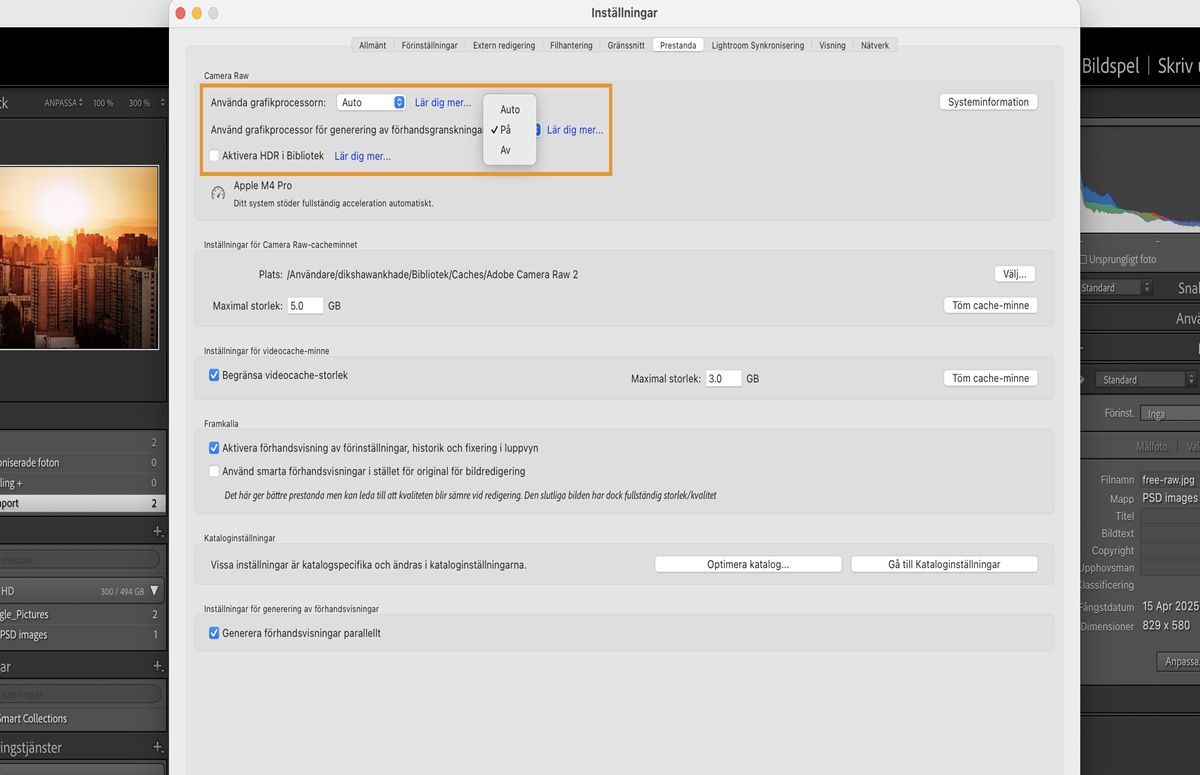 Inställningspanelen i Lightroom Classic som visar funktionen för att använda en grafikprocessor för förhandsvisningsgenerering. 