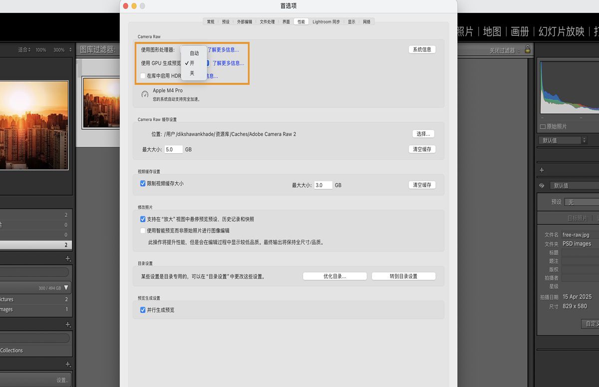 Lightroom Classic 中的“首选项”面板，其中突出显示了使用 GPU 生成预览的功能。
